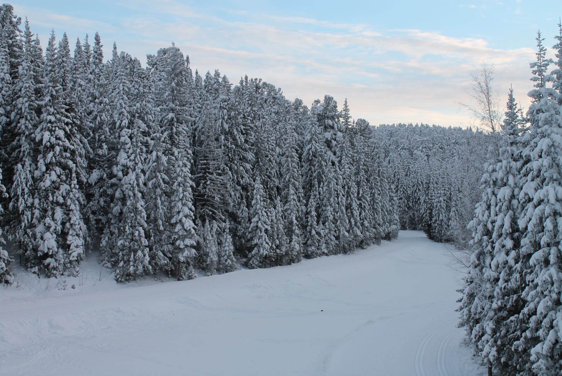 Самаровский чугас