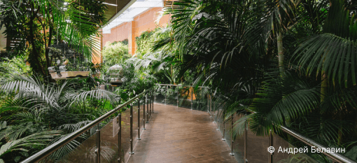 Оранжерея «7 садов»