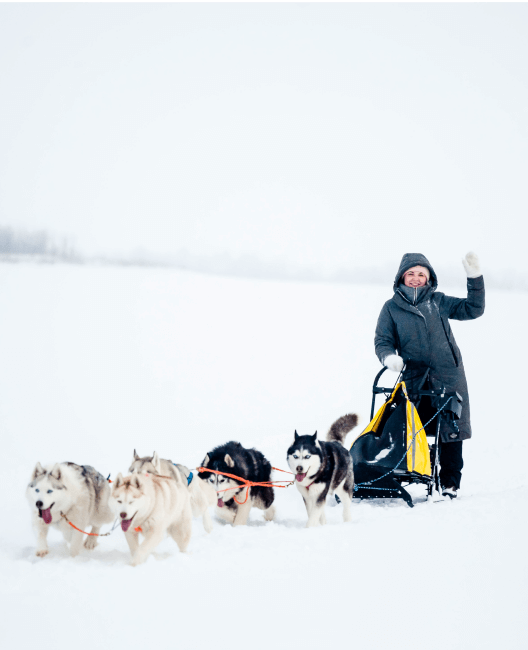 Хаски-центр «Югра»